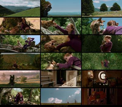 狐狸与我剧照的剧照