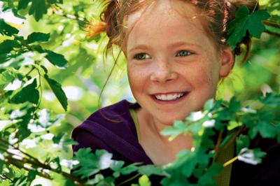 狐狸与我剧照的剧照