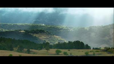 狐狸与我剧照的剧照