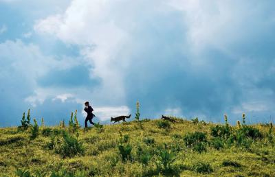 狐狸与我剧照的剧照