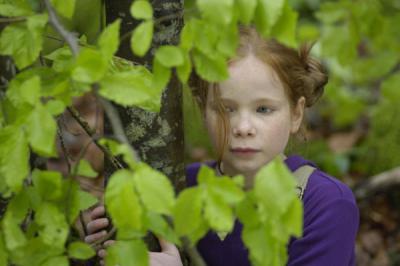 狐狸与我剧照的剧照
