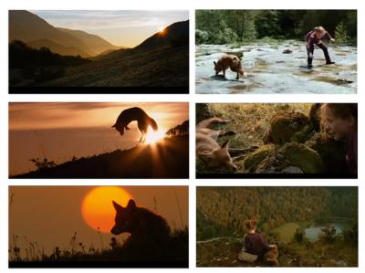 狐狸与我剧照的剧照