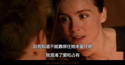 狐狸与我剧照的剧照