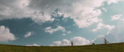 狐狸与我剧照的剧照