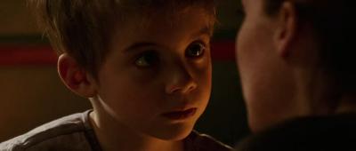 狐狸与我剧照的剧照