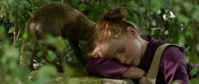 狐狸与我剧照的剧照