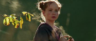 狐狸与我剧照的剧照