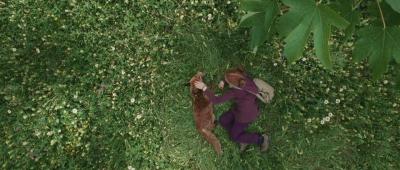 狐狸与我剧照的剧照