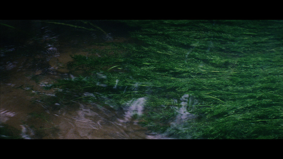 飞向太空剧照的剧照