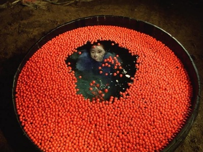 阳炎座剧照的剧照