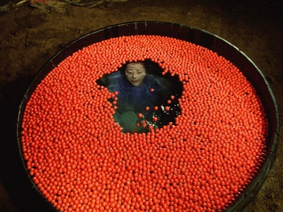 阳炎座剧照的剧照