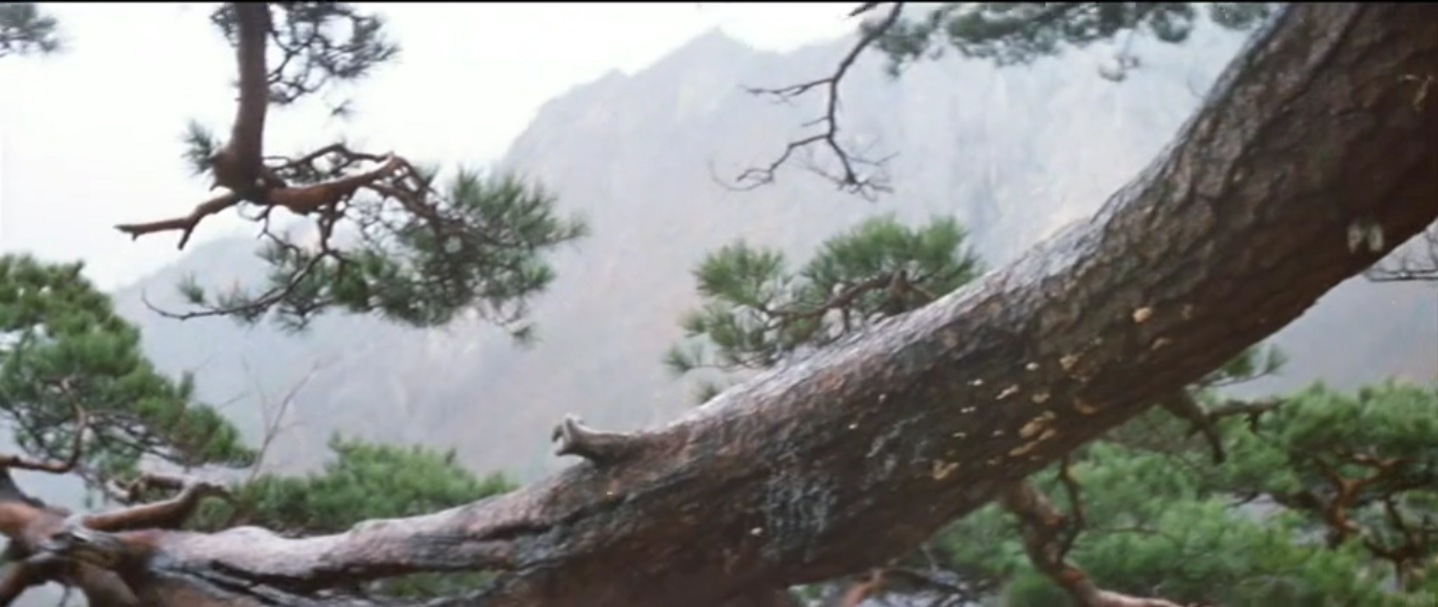 空山灵雨剧照的剧照