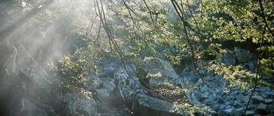 空山灵雨剧照的剧照