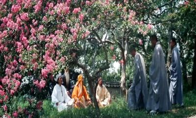 空山灵雨剧照的剧照