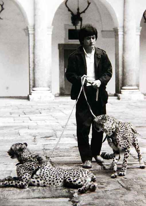 龙兄虎弟剧照的剧照