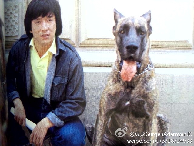 龙兄虎弟剧照的剧照