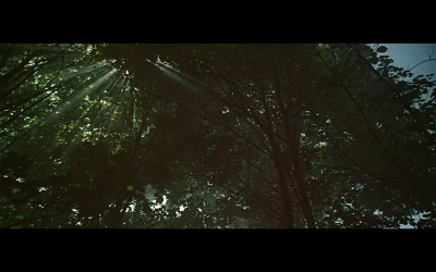 战争与和平1：安德烈·博尔孔斯基剧照的剧照