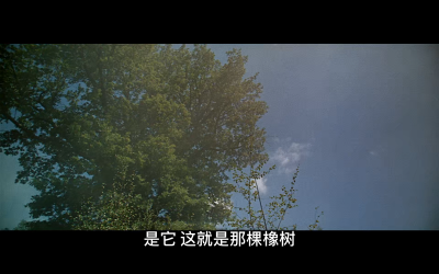 战争与和平1：安德烈·博尔孔斯基剧照的剧照