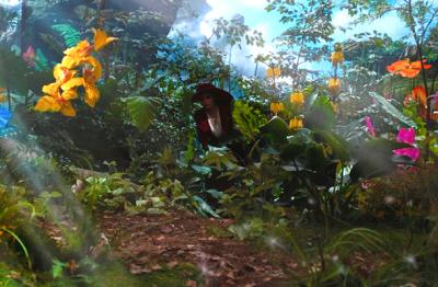 魔境仙踪剧照的剧照