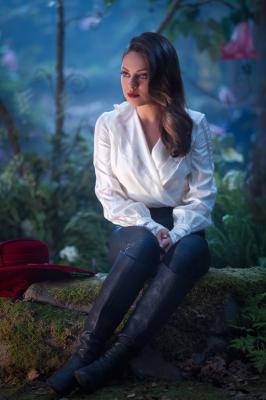 魔境仙踪剧照的剧照