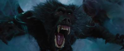 魔境仙踪剧照的剧照