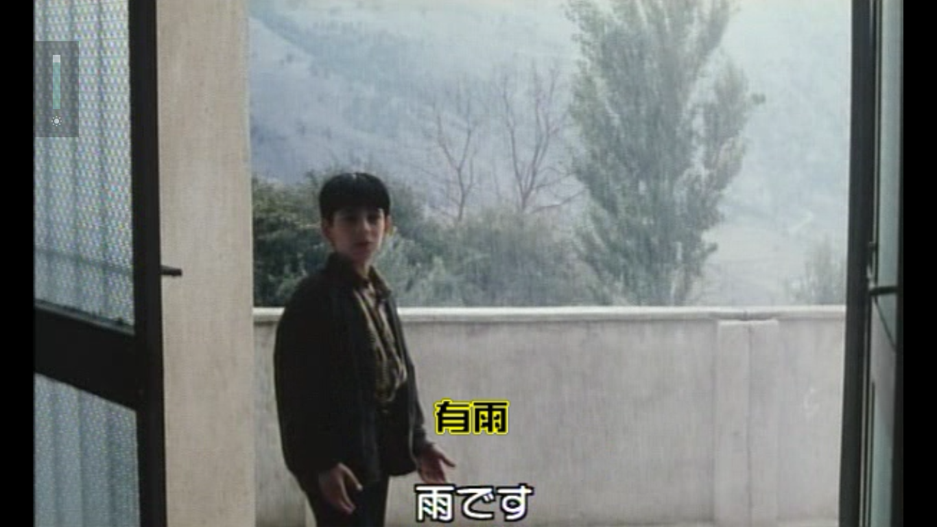 让风带着我起飞剧照的剧照