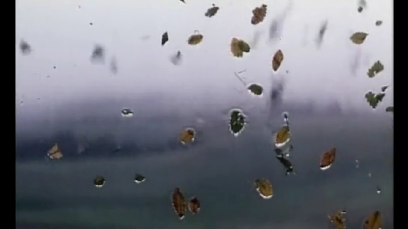 让风带着我起飞剧照的剧照