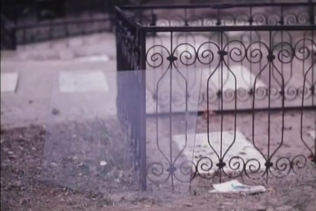 让风带着我起飞剧照的剧照