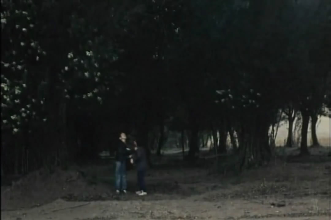 让风带着我起飞剧照的剧照