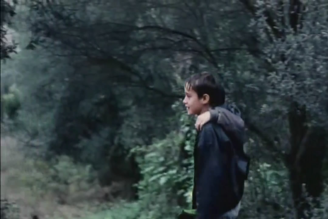 让风带着我起飞剧照的剧照