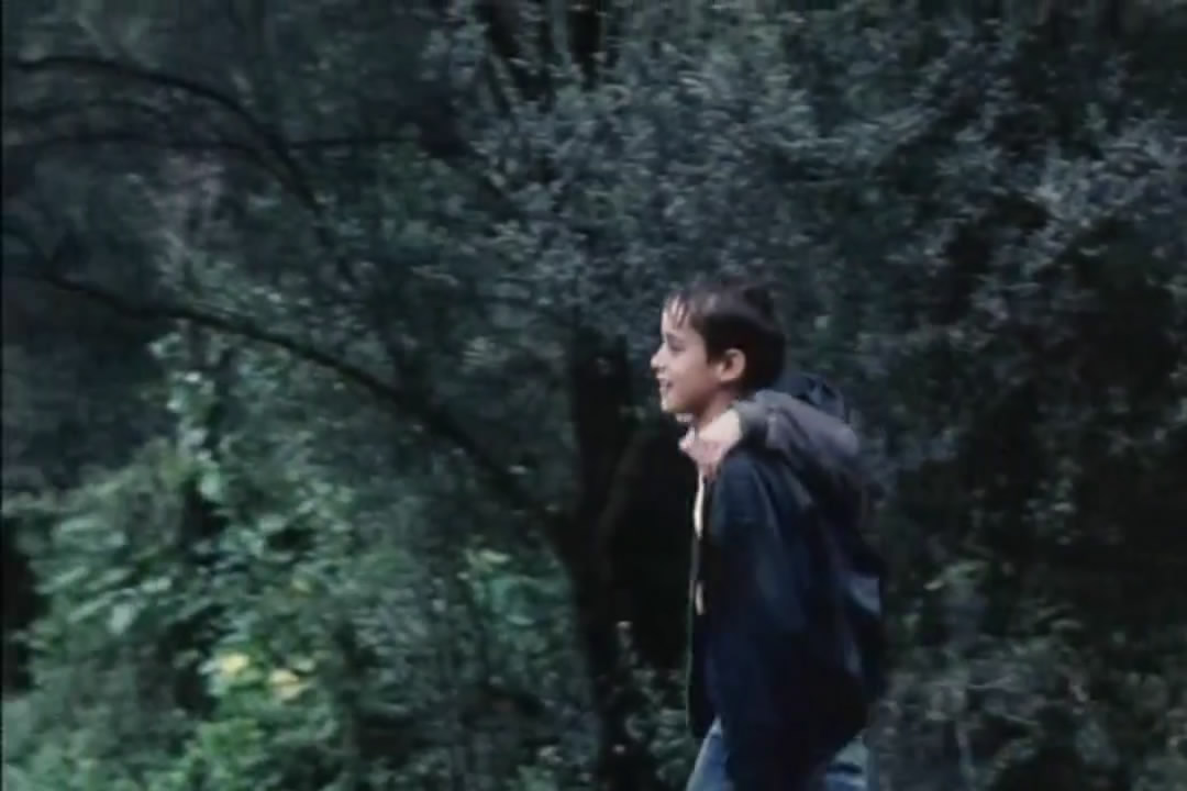 让风带着我起飞剧照的剧照