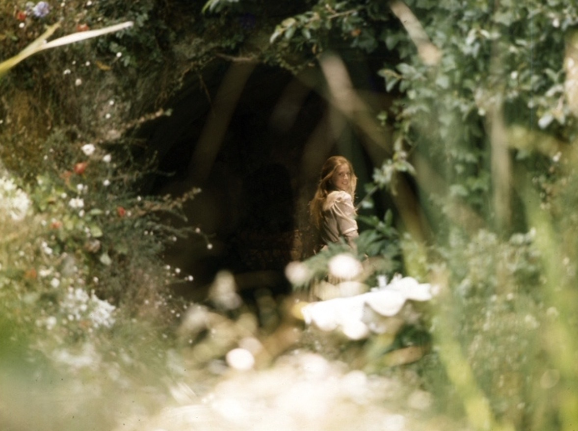 悬崖上的野餐剧照的剧照