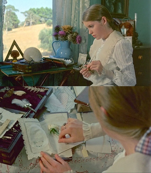 悬崖上的野餐剧照的剧照