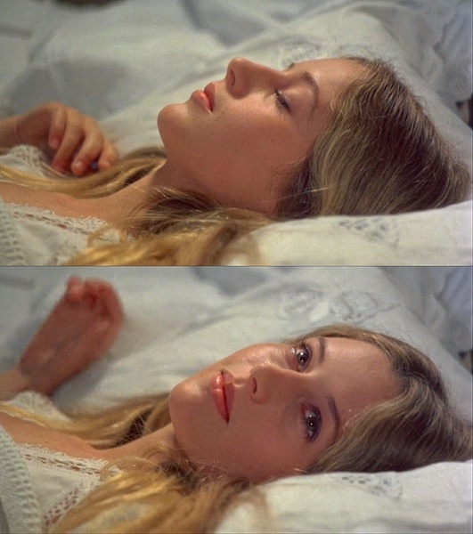 悬崖上的野餐剧照的剧照