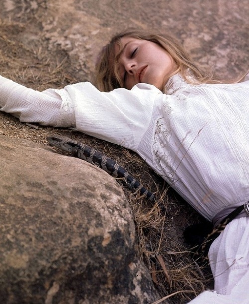 悬崖上的野餐剧照的剧照