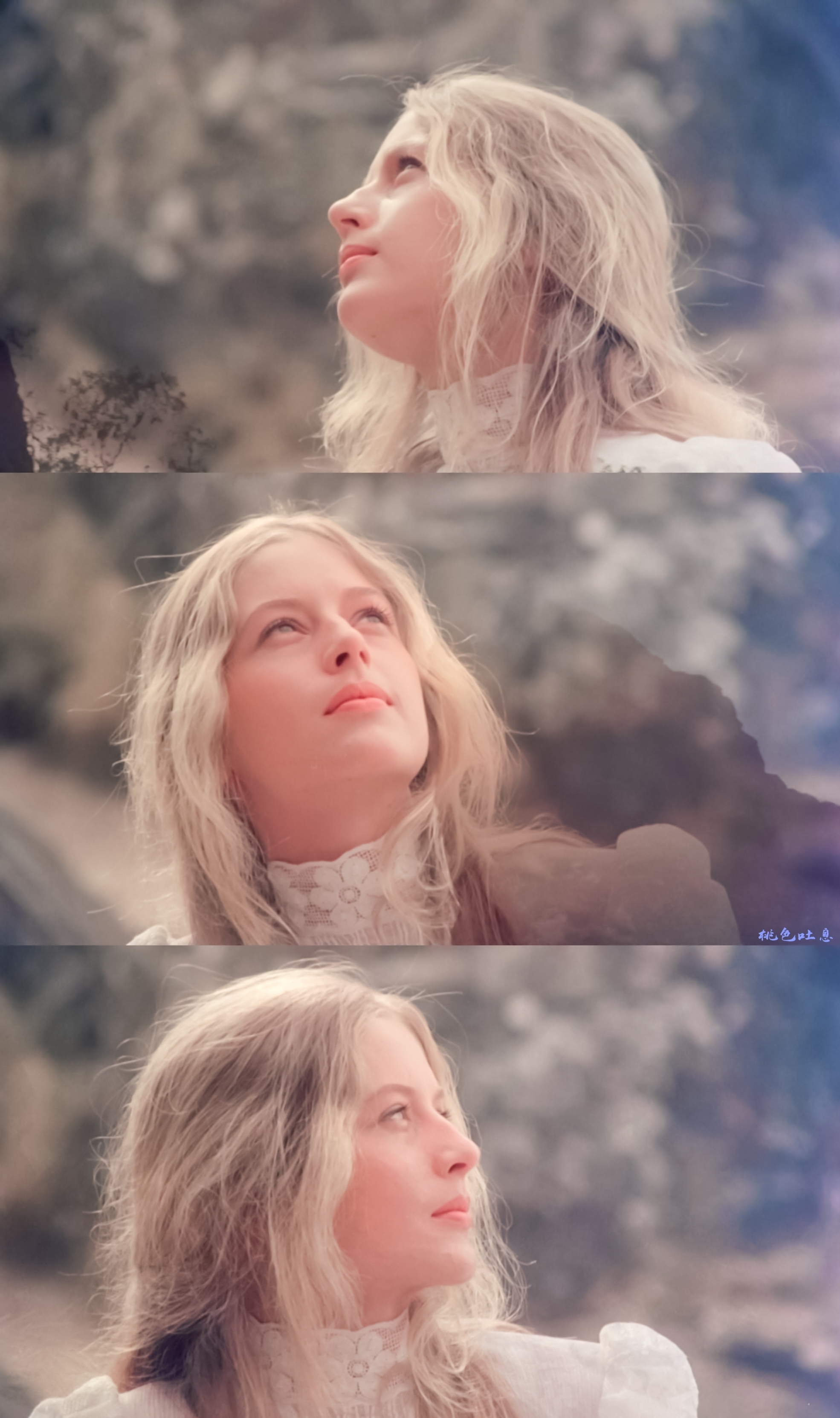 悬崖上的野餐剧照的剧照