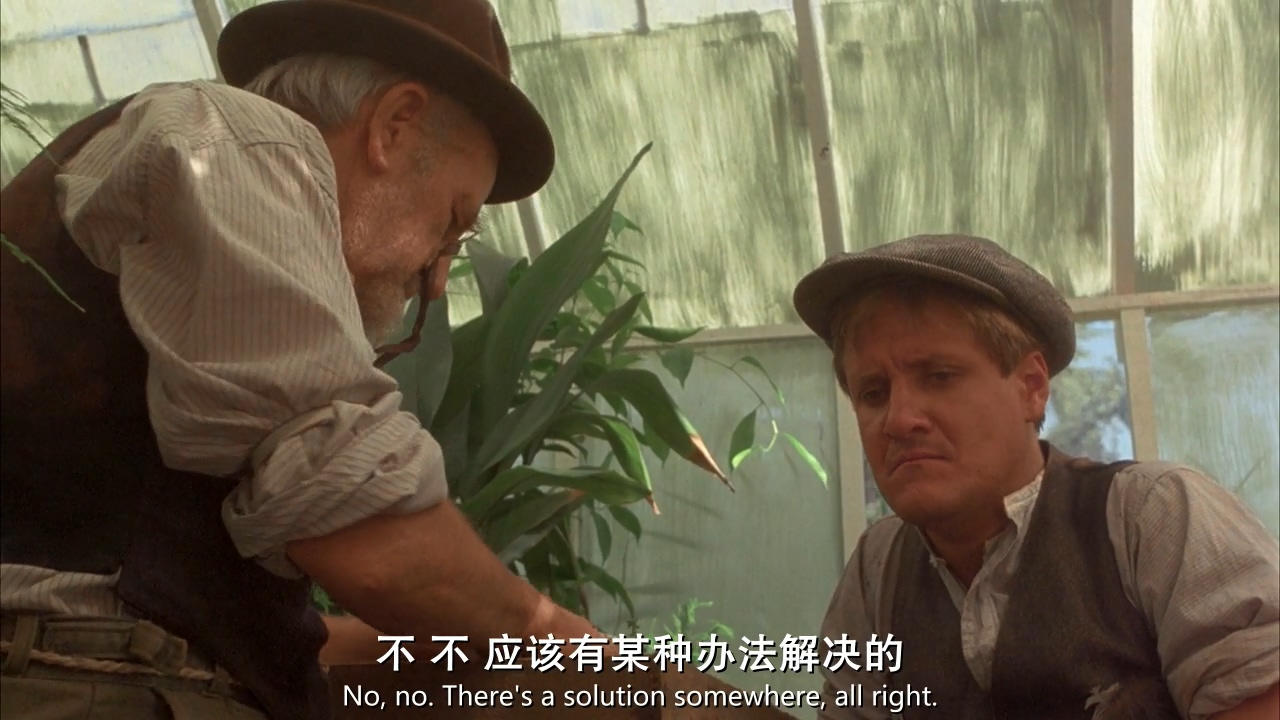 悬崖上的野餐剧照的剧照