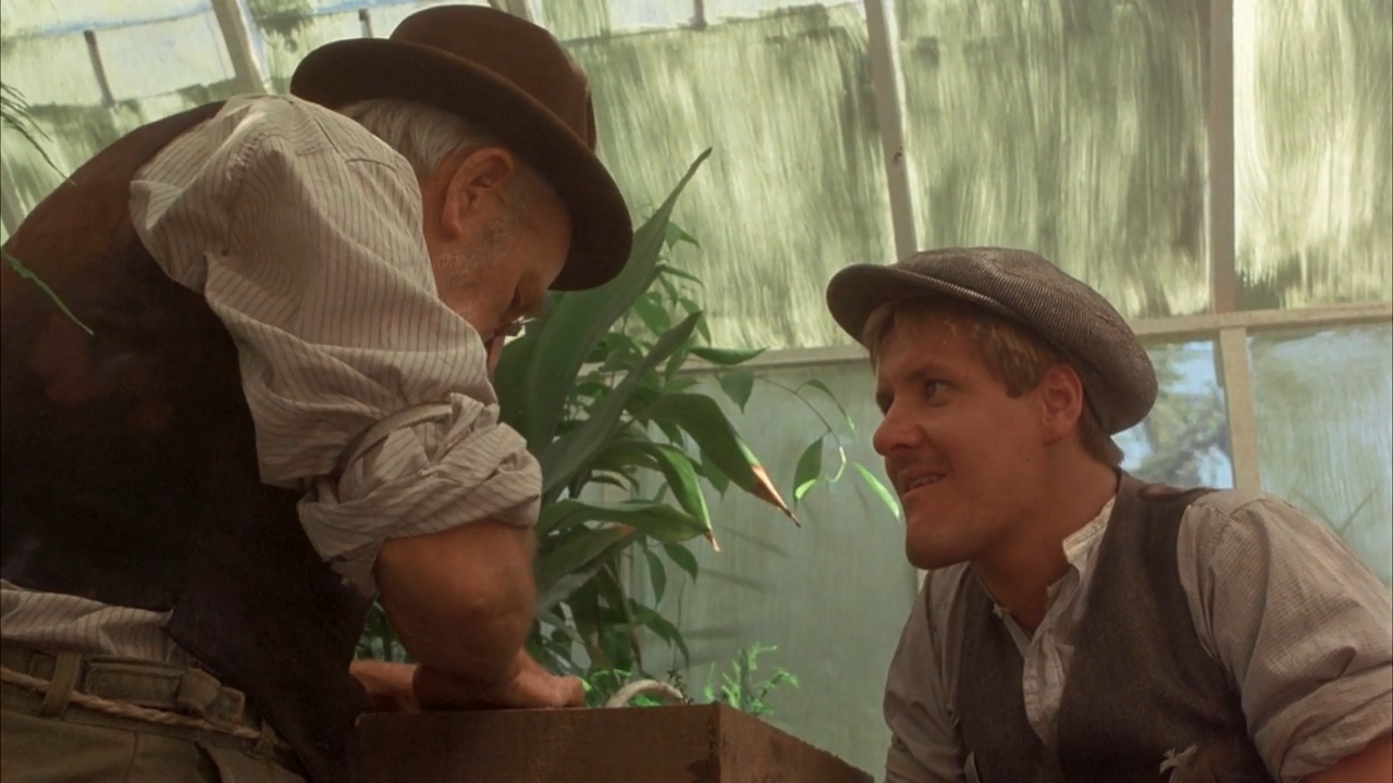 悬崖上的野餐剧照的剧照