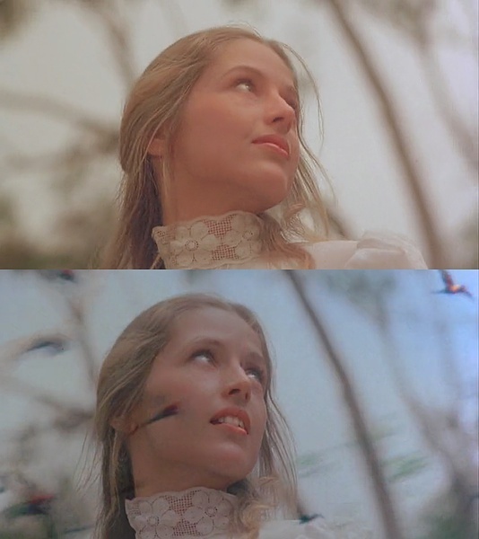 悬崖上的野餐剧照的剧照