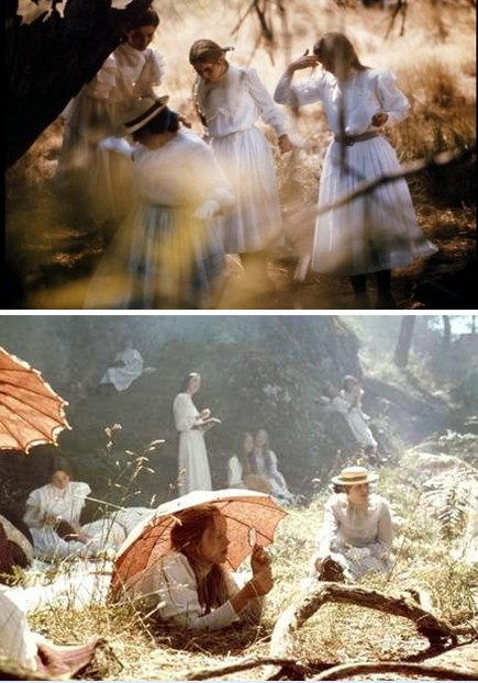 悬崖上的野餐剧照的剧照