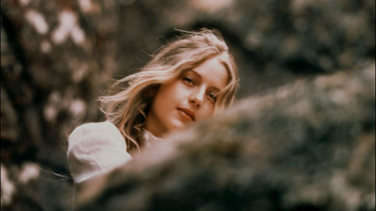 悬崖上的野餐剧照的剧照