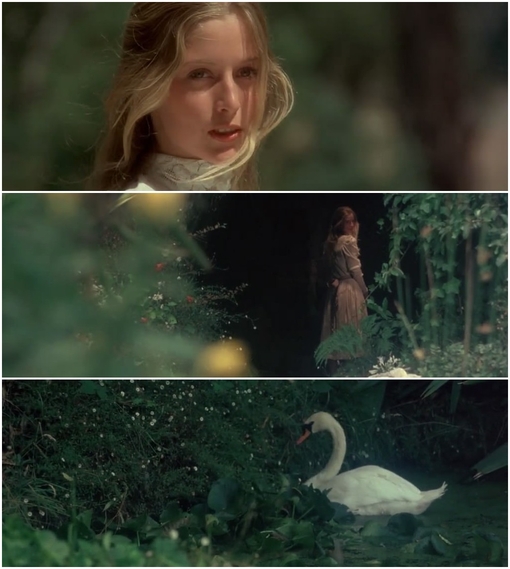 悬崖上的野餐剧照的剧照