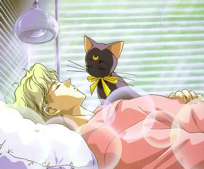 美少女战士S剧场版：竹姬的恋人剧照的剧照