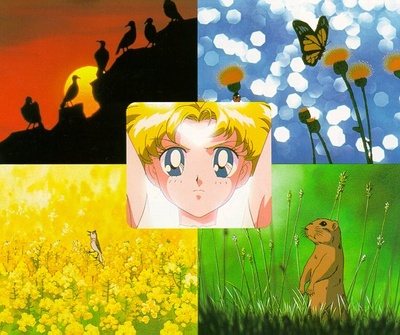 美少女战士S剧场版：竹姬的恋人剧照的剧照