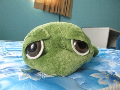 想爱就爱剧照的剧照