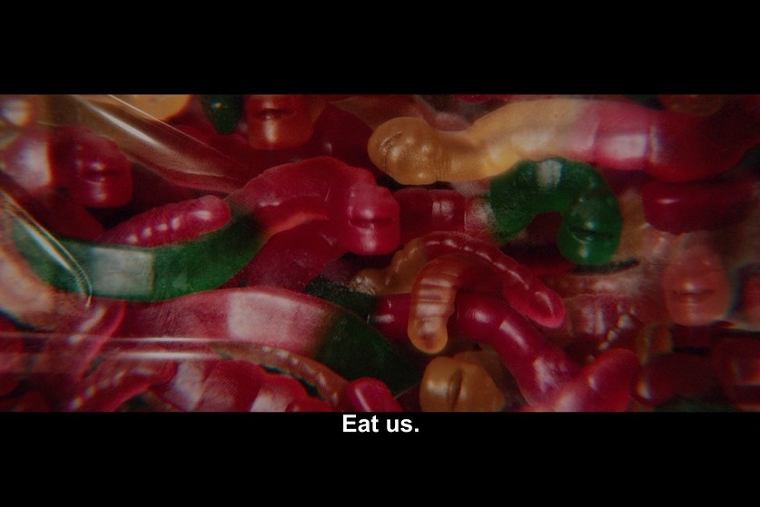 见爱不怪剧照的剧照