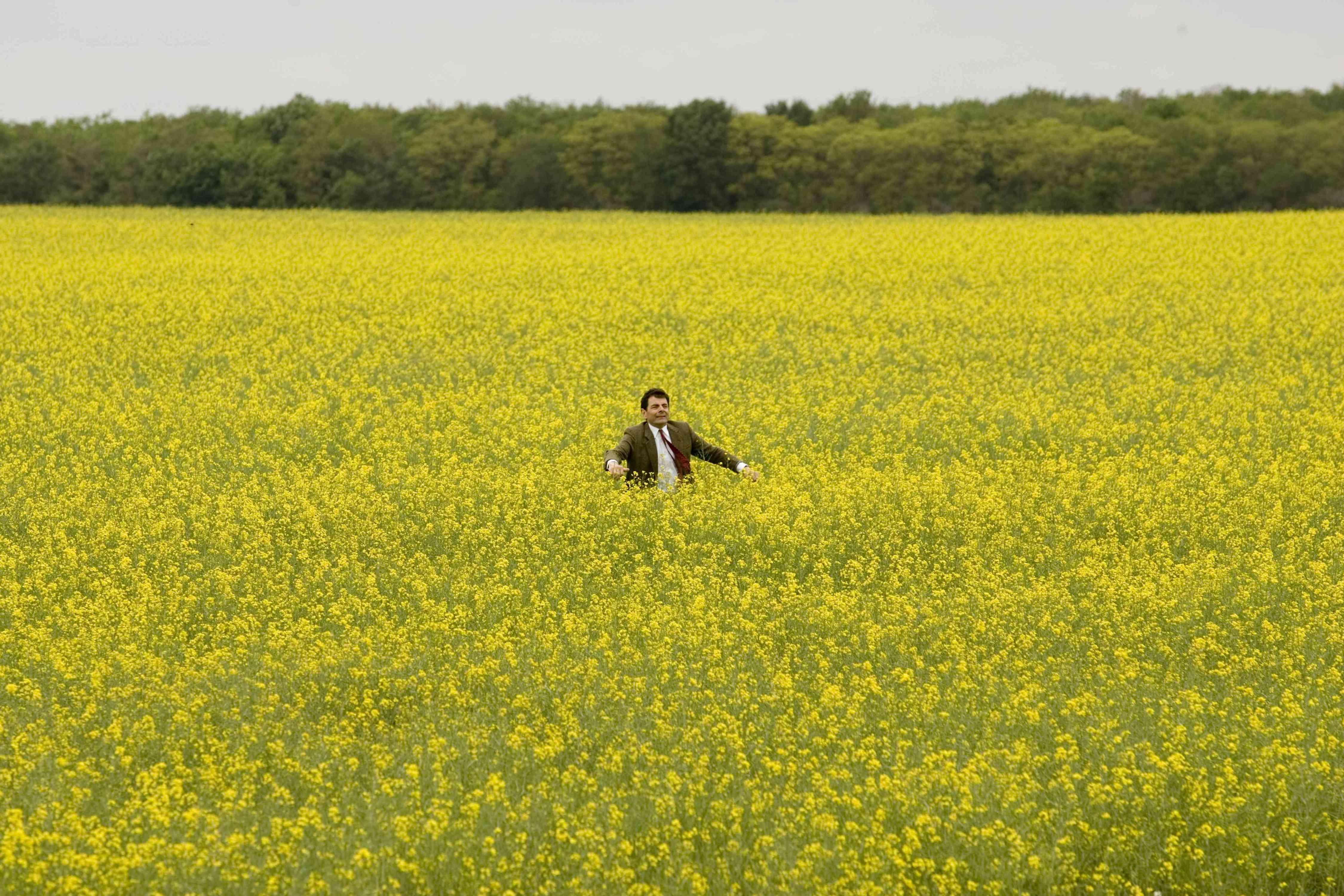 憨豆的黄金周剧照的剧照