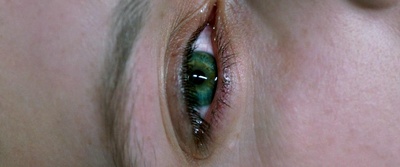 双面情人剧照的剧照