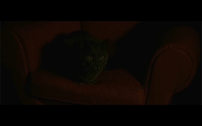 双面情人剧照的剧照