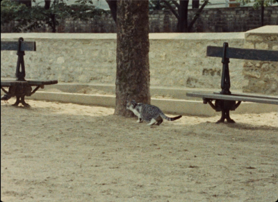 塞琳和朱莉出航记剧照的剧照